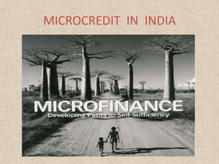 MICROCREDIT  IN  INDIA 