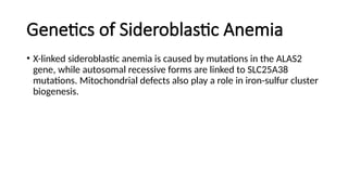 Genetics of Sideroblastic Anemia
• X-linked sideroblastic anemia is caused by mutations in the ALAS2
gene, while autosomal recessive forms are linked to SLC25A38
mutations. Mitochondrial defects also play a role in iron-sulfur cluster
biogenesis.
 