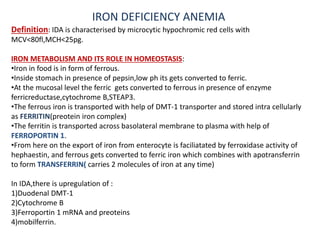 IRON DEFICIENCY ANEMIA
Definition: IDA is characterised by microcytic hypochromic red cells with
MCV<80fl,MCH<25pg.
IRON METABOLISM AND ITS ROLE IN HOMEOSTASIS:
•Iron in food is in form of ferrous.
•Inside stomach in presence of pepsin,low ph its gets converted to ferric.
•At the mucosal level the ferric gets converted to ferrous in presence of enzyme
ferricreductase,cytochrome B,STEAP3.
•The ferrous iron is transported with help of DMT-1 transporter and stored intra cellularly
as FERRITIN(preotein iron complex)
•The ferritin is transported across basolateral membrane to plasma with help of
FERROPORTIN 1.
•From here on the export of iron from enterocyte is faciliatated by ferroxidase activity of
hephaestin, and ferrous gets converted to ferric iron which combines with apotransferrin
to form TRANSFERRIN( carries 2 molecules of iron at any time)
In IDA,there is upregulation of :
1)Duodenal DMT-1
2)Cytochrome B
3)Ferroportin 1 mRNA and preoteins
4)mobilferrin.
 
