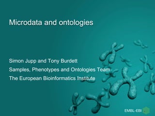 Microdata and ontologies
Simon Jupp and Tony Burdett
Samples, Phenotypes and Ontologies Team
The European Bioinformatics Institute
 
