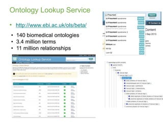 and biomedical ontologies PPT