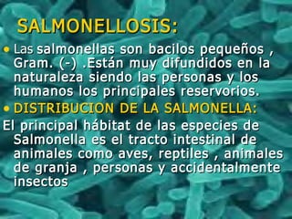 SALMONELLOSIS:SALMONELLOSIS:
• LasLas salmonellas son bacilos pequeños ,salmonellas son bacilos pequeños ,
Gram. (-) .Están muy difundidos en laGram. (-) .Están muy difundidos en la
naturaleza siendo las personas y losnaturaleza siendo las personas y los
humanos los principales reservorios.humanos los principales reservorios.
• DISTRIBUCION DE LA SALMONELLA:DISTRIBUCION DE LA SALMONELLA:
El principal hábitat de las especies deEl principal hábitat de las especies de
Salmonella es el tracto intestinal deSalmonella es el tracto intestinal de
animales como aves, reptiles , animalesanimales como aves, reptiles , animales
de granja , personas y accidentalmentede granja , personas y accidentalmente
insectosinsectos
 