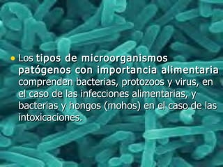 • LosLos tipos de microorganismostipos de microorganismos
patógenos con importancia alimentariapatógenos con importancia alimentaria
comprenden bacterias, protozoos y virus, encomprenden bacterias, protozoos y virus, en
el caso de las infecciones alimentarias, yel caso de las infecciones alimentarias, y
bacterias y hongos (mohos) en el caso de lasbacterias y hongos (mohos) en el caso de las
intoxicaciones.intoxicaciones.
 