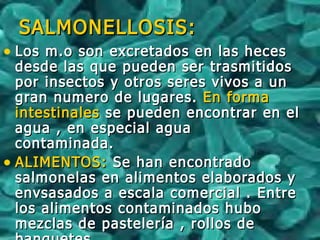 SALMONELLOSIS:SALMONELLOSIS:
• Los m.o son excretados en las hecesLos m.o son excretados en las heces
desde las que pueden ser trasmitidosdesde las que pueden ser trasmitidos
por insectos y otros seres vivos a unpor insectos y otros seres vivos a un
gran numero de lugares.gran numero de lugares. En formaEn forma
intestinalesintestinales se pueden encontrar en else pueden encontrar en el
agua , en especial aguaagua , en especial agua
contaminada.contaminada.
• ALIMENTOS:ALIMENTOS: Se han encontradoSe han encontrado
salmonelas en alimentos elaborados ysalmonelas en alimentos elaborados y
envsasados a escala comercial . Entreenvsasados a escala comercial . Entre
los alimentos contaminados hubolos alimentos contaminados hubo
mezclas de pastelería , rollos demezclas de pastelería , rollos de
 