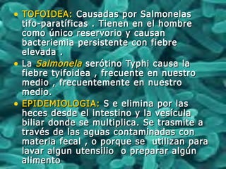 • TOFOIDEA:TOFOIDEA: Causadas por SalmonelasCausadas por Salmonelas
tifo-paratíficas . Tienen en el hombretifo-paratíficas . Tienen en el hombre
como único reservorio y causancomo único reservorio y causan
bacteriemia persistente con fiebrebacteriemia persistente con fiebre
elevada .elevada .
• LaLa SalmonelaSalmonela serótino Typhi causa laserótino Typhi causa la
fiebre tyifoidea , frecuente en nuestrofiebre tyifoidea , frecuente en nuestro
medio , frecuentemente en nuestromedio , frecuentemente en nuestro
medio.medio.
• EPIDEMIOLOGIA:EPIDEMIOLOGIA: S e elimina por lasS e elimina por las
heces desde el intestino y la vesículaheces desde el intestino y la vesícula
biliar donde se multiplica. Se trasmite abiliar donde se multiplica. Se trasmite a
través de las aguas contaminadas contravés de las aguas contaminadas con
materia fecal , o porque se utilizan paramateria fecal , o porque se utilizan para
lavar algun utensilio o preparar algúnlavar algun utensilio o preparar algún
alimentoalimento
 