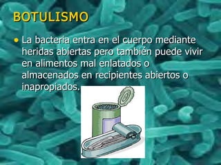 BOTULISMOBOTULISMO
• La bacteria entra en el cuerpo medianteLa bacteria entra en el cuerpo mediante
heridas abiertas pero también puede vivirheridas abiertas pero también puede vivir
en alimentos mal enlatados oen alimentos mal enlatados o
almacenados en recipientes abiertos oalmacenados en recipientes abiertos o
inapropiados.inapropiados.
 