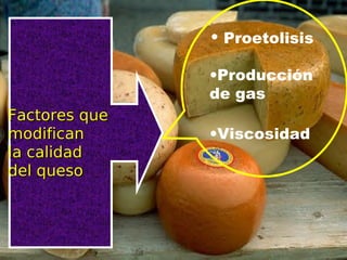 Factores queFactores que
modificanmodifican
la calidadla calidad
del quesodel queso
• Proetolisis
•Producción
de gas
•Viscosidad
 