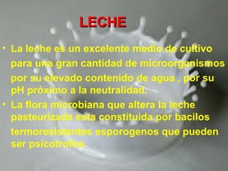 LECHELECHE
• La leche es un excelente medio de cultivo
para una gran cantidad de microorganismos
por su elevado contenido de agua , por su
pH próximo a la neutralidad.
• La flora microbiana que altera la leche
pasteurizada esta constituida por bacilos
termoresistentes esporogenos que pueden
ser psicotrofos.
 