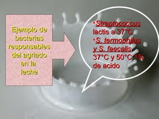 Ejemplo deEjemplo de
bacteriasbacterias
responsablesresponsables
del agriadodel agriado
en laen la
lecheleche
•StreptococcusStreptococcus
lactis a 37°Clactis a 37°C
•S. termophilusS. termophilus
y S. faecalisy S. faecalis
37°C y 50°C 1%37°C y 50°C 1%
de acidode acido
 