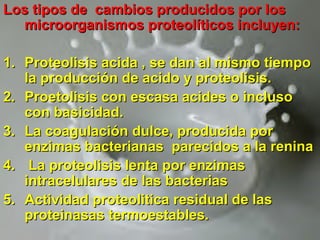 Los tipos de cambios producidos por losLos tipos de cambios producidos por los
microorganismos proteolíticos incluyen:microorganismos proteolíticos incluyen:
1.1. Proteolisis acida , se dan al mismo tiempoProteolisis acida , se dan al mismo tiempo
la producción de acido y proteolisis.la producción de acido y proteolisis.
2.2. Proetolisis con escasa acides o inclusoProetolisis con escasa acides o incluso
con basicidad.con basicidad.
3.3. La coagulación dulce, producida porLa coagulación dulce, producida por
enzimas bacterianas parecidos a la reninaenzimas bacterianas parecidos a la renina
4.4. La proteolisis lenta por enzimasLa proteolisis lenta por enzimas
intracelulares de las bacteriasintracelulares de las bacterias
5.5. Actividad proteolitica residual de lasActividad proteolitica residual de las
proteinasas termoestables.proteinasas termoestables.
 