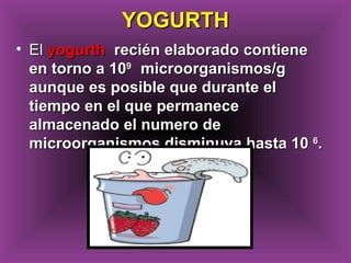 • ElEl yogurthyogurth recién elaborado contienerecién elaborado contiene
en torno a 10en torno a 1099
microorganismos/gmicroorganismos/g
aunque es posible que durante elaunque es posible que durante el
tiempo en el que permanecetiempo en el que permanece
almacenado el numero dealmacenado el numero de
microorganismos disminuya hasta 10microorganismos disminuya hasta 10 66
..
YOGURTHYOGURTH
 