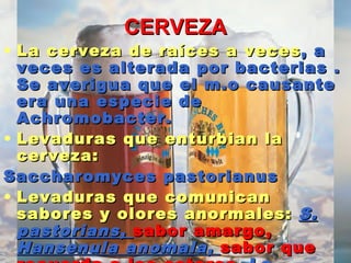 CERVEZACERVEZA
• La cerveza de raíces a vecesLa cerveza de raíces a veces, a, a
veces es alterada por bacterias .veces es alterada por bacterias .
Se averigua que el m.o causanteSe averigua que el m.o causante
era una especie deera una especie de
Achromobacter.Achromobacter.
• Levaduras que enturbian laLevaduras que enturbian la
cerveza:cerveza:
Saccharomyces pastorianusSaccharomyces pastorianus
• Levaduras que comunicanLevaduras que comunican
sabores y olores anormales:sabores y olores anormales: S.S.
pastorians,pastorians, sabor amargo,sabor amargo,
Hansenula anomala,Hansenula anomala, sabor quesabor que
 