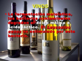 VINOSVINOS..
• La fermentación malolatica,La fermentación malolatica,
las bacterias contaminateslas bacterias contaminates
degradan eldegradan el acido málico aacido málico a
acido láctico.acido láctico. ElEl LeucostocLeucostoc
oenosoenos es estimulado por estaes estimulado por esta
bacteria.bacteria.
 