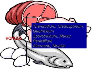 HONGOSHONGOS
Thamnidium,Thamnidium, Cladosporium,Cladosporium,
GeotrichumGeotrichum
Sporotrichum,Sporotrichum, Mucor,Mucor,
PenicilliumPenicillium
Alternaria,Alternaria, MoniliaMonilia
 