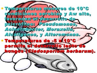 • Temperaturas menores de 10°CTemperaturas menores de 10°C
condiciones aerobias y Aw alta,condiciones aerobias y Aw alta,
favorecen el desarrollo defavorecen el desarrollo de
psicrófilos: psicrófilos:  Pseudomonas,Pseudomonas,
Acinetobacter, Moraxella,Acinetobacter, Moraxella,
Alcaligenes,Alcaligenes, yy Alteromonas.Alteromonas.
• Temperaturas de -5 a 10°CTemperaturas de -5 a 10°C
permite el desarrollo lento depermite el desarrollo lento de
hongos (hongos (Cladosporium herbarumCladosporium herbarum).).
 