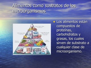 Alimentos como sustratos de losAlimentos como sustratos de los
microorganismosmicroorganismos
• Los alimentos estánLos alimentos están
compuestos decompuestos de
proteínas,proteínas,
carbohidratos ycarbohidratos y
grasas, los cualesgrasas, los cuales
sirven de substrato asirven de substrato a
cualquier clase decualquier clase de
microorganismo.microorganismo.
 
