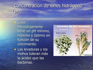 Concentración de iones hidrógenoConcentración de iones hidrógeno
(pH)(pH)
• CadaCada
microorganismomicroorganismo
tiene un pH mínimo,tiene un pH mínimo,
máximo y óptimo enmáximo y óptimo en
función de sufunción de su
crecimiento.crecimiento.
• Las levaduras y losLas levaduras y los
mohos toleran másmohos toleran más
la acidez que lasla acidez que las
bacterias.bacterias.
 