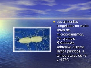 • Los alimentosLos alimentos
congelados no estáncongelados no están
libres delibres de
microorganismos.microorganismos.
Por ejemploPor ejemplo
SalmonellaSalmonella,,
sobrevive durantesobrevive durante
largos periodos alargos periodos a
temperaturas de -9temperaturas de -9
y -17ºC.y -17ºC.
 