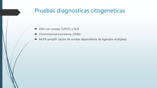 Pruebas diagnosticas citogeneticas
 FISH con sondas TUPLE1 y N25
 Chromosomal microarray (CMA)
 MLPA (amplifi cación de sondas dependiente de ligandos múltiples)
 