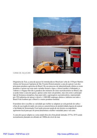 CANA DE AÇUCAR.



          Originária da Ásia ,a cana-de-açucar foi introduzida no Brasil por volta de 1530,por Martim
          Afonso de Souza,na Capitania de São Vicente.Historicamente a cana de açúcar é um dos
          principais produtos agrícolas do Brasil. Do seu processo de industrialização obtém-se como
          produtos o açúcar nas suas mais variadas formas e tipos, o álcool (anidro e hidratado), o
          vinhoto e o bagaço.Devido à grandeza dos números do setor sucroalcooleiro no Brasil, não
          se pode tratar a cana-de-açúcar, apenas como mais um produto, mas sim como o principal
          tipo de biomassa energética, base para todo o agronegócio sucroalcooleiro, representado
          por 350 indústrias de açúcar e álcool e 1.000.000 empregos diretos e indiretos em todo o
          Brasil.Vale lembrar que o Brasil é o maior produtor mundial.

          O produtor deve escolher as variedade que melhor se adaptem ao solo,período de safra e
          clima de sua região,levando em conta as características de produtividade,riqueza de açúcar
          e facilidade de fermentação.Você pode procurar ajuda de um técnico ou engenheiro
          agrônomo local para que ele possa determinar a melhor variedade para o seu caso.

          A cana-de-açucar adapta-se a uma ampla faixa de clima,desde latitudes 35°N a 30°S sendo
          normalmente plantada em altitude até 1000m do nível do mar.




PDF Creator - PDF4Free v2.0                                        http://www.pdf4free.com
 