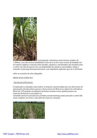 A precipitação volumétrica anual mínima exigida é de
          1.200mm ,com chuvas bem distribuídas.O solo deve ser leve sem excesso de umidade rico
          em matéria orgânica e minerais.Solos pesados ,argilosos e mal drenados são limitantes para
          o cultivo da cana-de-açucar.Caso sua propriedade não atenda as necessidades sitadas a
          cima,não se preocupe basta procurar junto a um engenheiro agrônomo que ele te informará

          sobre as correções de solos adequadas.

          PRINCIPAIS ESPÉCIES:

          .Saccharum officinarum:

          Compreende as chamadas canas nobres ou tropicais caracterizadaas por seus altos teores de
          açúcar,porte elevado,colmos grossos e baixos teores de fibras.Essa espécie foi cultivada no
          Brasil até 1952,quando um epidemia da doença mosaico trouxe grande prejuízo aos
          canaviais.Pertencem a essa espécie as
          variedades:preta,rosa,riscada,roxa,cristalina,creoula,manteiga,caiana,sem-pelo e outras.São
          muito exigentes em clima e solos,além de sensíveis a doenças.




PDF Creator - PDF4Free v2.0                                        http://www.pdf4free.com
 