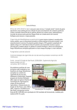 Larva da broca.

          Broca do colmo (Diatrea spp.)-causa,em canas novas,o “coração morto” (morte da gema
          apical).Em canas adultas,provoca redução do peso,encurtamento dos entrenós,quebra de
          colmos ,brotação lateral.Devido às galerias abertas nos colmos,causa ,indiretamente,a
          inversão da sacarose pela ação dos fungos.Pode ser evitada através do controle
          biológico,com moscas e vespas parasitas.

          Cigarrinha da folha(Mahanarva posticata)-A maior injuria à planta é causada pelos
          insetos adultos ,que,se alimentarem picando as folhas,injetam toxina provocando o seu
          amarelecimento e necrose.Os prejuízos,podem chegar a 20%,quando a população de
          adultos chega a 0,7 individuos/colmo.O controle com inseticidas mostra-se pouco
          eficiente,pois combate apenas os adultos.O controle biológico ,através da utilização do
          fungo Metarrhizum anisopliea,aplicando no inicio ataque da praga é o mais indicado.

          Fungo baixa custo do canavial

          Controle biológico da cigarrinha da raiz da cana faz produtor economizar até R$
          120/hectare

          Fonte: Jornal O Estado de São Paulo, 02/06/2004 - Suplemento Agrícola
          (www.estadao.com.br)
          Jornalista: BETH MELO

          Os produtores paulistas de cana-
          de-açúcar estão rendendo-se aos
          benefícios do fungo Metarhizium
          anisopliae no controle da
          cigarrinha da raiz da cana
          (Mahanarva fimbriolata). Segundo
          pesquisa do Instituto Biológico
          (IB), órgão da Agência Paulista de
          Tecnologia dos Agronegócios
          (Apta), da Secretaria de
          Agricultura e Abastecimento do
          Estado de São Paulo, entre 2002 e
          2003, empresas e biofábricas de
          São Paulo conseguiram receita
          bruta de R$ 2.680.000 com a produção de 268 toneladas de bioinseticida, vendidas pela
          média de R$ 10 o quilo.




PDF Creator - PDF4Free v2.0                                         http://www.pdf4free.com
 
