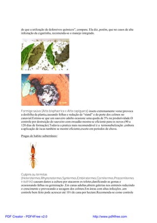 do que a utilização de defensivos químicos”, compara. Ela diz, porém, que no casos de alta
          infestação da cigarrinha, recomenda-se o manejo integrado.




          Formiga saúva (Atta bisphaerica e Atta capiguara)-inseto extremamente voraz;provoca
          a desfolha da planta,causando folhas e redução de “stand” e do porte dos colmos no
          canavial.Estima-se que um sauveiro adulto ocasione uma queda de 5% na produtividade.O
          controle por destruição do sauveiro com enxadão mostra-se eficiente para os novos (90 a
          120 dias de formação).Todavia a pratica mais recomendável é a termonebulização ,embora
          a aplicação de iscas também se mostre eficiente,exceto em periodos de chuva.

          Pragas de habito subterrâneo:




          Culpins ou térmitas
          (Heterotermes,Rhyncnotermes,Syntermes,Embiratermes,Cornitermes,Procorniternes
          e outros)-causam danos a cultura por atacarem os toletes,danificando as gemas e
          ocasionando falhas na germinação .Em canas adultas,abrem galerias nos entrenós reduzindo
          o crescimento e provocando a secagem dos colmos.Em áreas com altas infecções ,um
          controle bem feito pode acrescer até 10 t de cana por hectare.Recomenda-se como controle




PDF Creator - PDF4Free v2.0                                        http://www.pdf4free.com
 