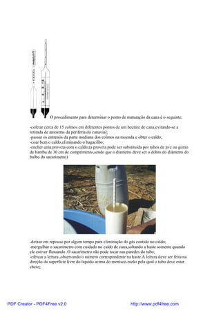 O procedimento para determinar o ponto de maturação da cana é o seguinte:

          -coletar cerca de 15 colmos em diferentes pontos de um hectare de cana,evitando-se a
          retirada de amostras da periferia do canavial;
          -passar os entrenós da parte mediana dos colmos na moenda e obter o caldo;
          -coar bem o caldo,eliminando o bagacilho;
          -encher uma proveta com o caldo;(a proveta pode ser substituída por tubos de pvc ou gomo
          de bambu de 30 cm de comprimento,sendo que o diametro deve ser o dobro do diâmetro do
          bulbo do sacarimetro)




          -deixar em repouso por algum tempo para eliminação do gás contido no caldo;
          -mergulhar o sacarimetro com cuidado no caldo de cana,soltando a haste somente quando
          ele estiver flutuando .O sacarímetro não pode tocar nas paredes do tubo;
          -efetuar a leitura ,observando o número correspondente na haste.A leitura deve ser feita na
          direção da superfície livre do liquido acima do menisco-razão pela qual o tubo deve estar
          cheio;




PDF Creator - PDF4Free v2.0                                         http://www.pdf4free.com
 