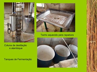 Tacho aquecido para rapadura Coluna de destilação  e alambique Tanques de Fermentação 