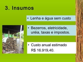 3. Insumos Bezerros, eletricidade, uréia, taxas e impostos. Custo anual estimado  R$ 16.919,40. Lenha e água sem custo 