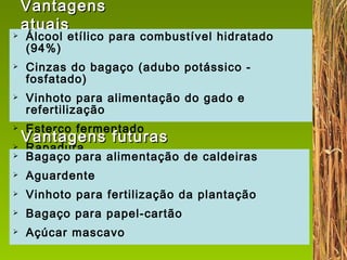 Vantagens atuais Álcool etílico para combustível hidratado (94%) Cinzas do bagaço (adubo potássico - fosfatado) Vinhoto para alimentação do gado e refertilização Esterco fermentado Rapadura Bagaço para alimentação de caldeiras  Aguardente Vinhoto para fertilização da plantação Bagaço para papel-cartão Açúcar mascavo Vantagens futuras 