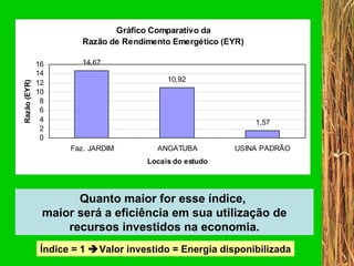 Quanto maior for esse índice,  maior será a eficiência em sua utilização de recursos investidos na economia. Índice = 1   Valor investido = Energia disponibilizada 