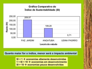 Quanto maior for o índice, menor será o impacto ambiental SI < 1    economias altamente desenvolvidas 1 < SI < 10    economias em desenvolvimento SI > 10    economias pouco desenvolvidas 