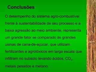 Conclusões O desempenho do sistema agro-combustível  frente à sustentabilidade de seu processo e a baixa agressão ao meio ambiente, representa um grande fator se comparado às grandes usinas de cana-de-açúcar, que utilizam  fertilizantes e agrotóxicos em larga escala que infiltram no subsolo levando ácidos, CO 2 ,  metais pesados e metano.   