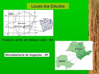 Locais dos Estudos Fazenda Jardim em Mateus Leme - MG Microdestilaria de Angatuba - SP 