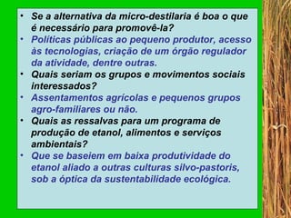 Se a alternativa da micro-destilaria é boa o que é necessário para promovê-la? Políticas públicas ao pequeno produtor, acesso às tecnologias, criação de um órgão regulador da atividade, dentre outras. Quais seriam os grupos e movimentos sociais interessados? Assentamentos agrícolas e pequenos grupos agro-familiares ou não. Quais as ressalvas para um programa de produção de etanol, alimentos e serviços ambientais? Que se baseiem em baixa produtividade do etanol aliado a outras culturas silvo-pastoris, sob a óptica da sustentabilidade ecológica. 