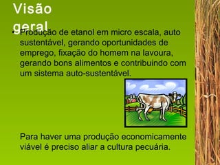 Visão geral Produção de etanol em micro escala, auto sustentável, gerando oportunidades de emprego, fixação do homem na lavoura, gerando bons alimentos e contribuindo com um sistema auto-sustentável.  Para haver uma produção economicamente viável é preciso aliar a cultura pecuária. 