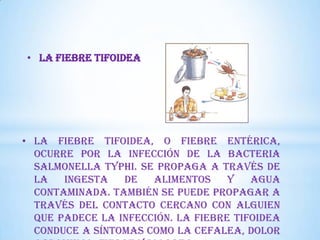 • LA FIEBRE TIFOIDEA

• La fiebre tifoidea, o fiebre entérica,
ocurre por la infección de la bacteria
Salmonella typhi. Se propaga a través de
la
ingesta
de
alimentos
y
agua
contaminada. También se puede propagar a
través del contacto cercano con alguien
que padece la infección. La fiebre tifoidea
conduce a síntomas como la cefalea, dolor

 