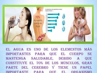 El agua es uno de los elementos más
importantes para que el cuerpo se
mantenga saludable, debido a que
constituye el 70% de los músculos, gran
parte del cerebro y tiene un papel

 