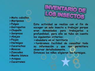 Mata caballos
Mariposas
Pulgas          Esta actividad se realizo con el fin de
Garrapatas      escoger un solo insecto a trabajar porque
Chapulín        eran demasiados para trabajarlos a
Sorpresa        profundidad, para ello se tubo en cuenta
Abejas          los siguientes criterios:
Piojos          abundara en el territorio
Hormigas        tuviéramos facilidad de consultar toda
Cucarachas      su información y que nos permitiera
Moscas          observar detalladamente.
Zancudos        Entonces los niños eligieron las hormigas.
Manta blanca
Avispas
Cucarrones
 