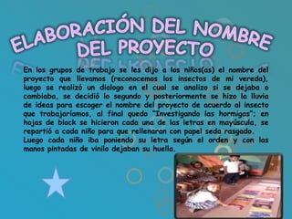 En los grupos de trabajo se les dijo a los niños(as) el nombre del
proyecto que llevamos (reconocemos los insectos de mi vereda),
luego se realizó un dialogo en el cual se analizo si se dejaba o
cambiaba, se decidió lo segundo y posteriormente se hizo la lluvia
de ideas para escoger el nombre del proyecto de acuerdo al insecto
que trabajaríamos, al final quedo “Investigando las hormigas”; en
hojas de block se hicieron cada una de las letras en mayúscula, se
repartió a cada niño para que rellenaran con papel seda rasgado.
Luego cada niño iba poniendo su letra según el orden y con las
manos pintadas de vinilo dejaban su huella.
 