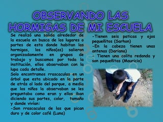 Se realizó una salida alrededor de     -Tienen seis paticas y ojos
la escuela en busca de los lugares o   pequeñitos (Sarhon)
partes de esta donde habitan las       -En la cabeza tienen unas
hormigas, los niños(as) salieron       antenas (Dariana)
organizadamente     en   grupos   de   - Tienen una colita redonda y
trabajo y buscamos por toda la         son pequeñitas (Mauricio)
institución, ellos observaban con la
lupa cada detalle.
Solo encontramos rrascaculas en un
árbol que esta ubicado en la parte
de atrás al lado del parque, a media
que los niños la observaban se les
preguntaba como eran y ellos iban
diciendo sus partes, color, tamaño
y donde vivían:
-Son rrascaculas de las que pican
duro y de color café (Luna)
 