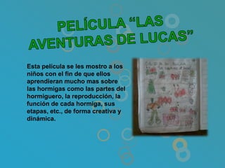 Esta película se les mostro a los
niños con el fin de que ellos
aprendieran mucho mas sobre
las hormigas como las partes del
hormiguero, la reproducción, la
función de cada hormiga, sus
etapas, etc., de forma creativa y
dinámica.
 