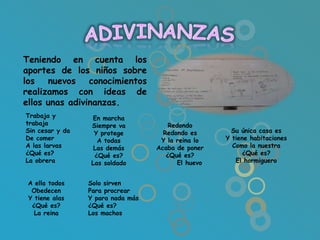 Teniendo en cuenta los
aportes de los niños sobre
los   nuevos conocimientos
realizamos con ideas de
ellos unas adivinanzas.
Trabaja y        En marcha
trabaja          Siempre va            Redondo
Sin cesar y da    Y protege          Redondo es       Su única casa es
De comer           A todas          Y la reina lo   Y tiene habitaciones
A las larvas      Las demás        Acaba de poner     Como la nuestra
¿Qué es?          ¿Qué es?            ¿Qué es?            ¿Qué es?
La obrera        Las soldado             El huevo      El hormiguero


 A ella todos    Solo sirven
  Obedecen       Para procrear
 Y tiene alas    Y para nada más
  ¿Qué es?       ¿Qué es?
   La reina      Los machos
 
