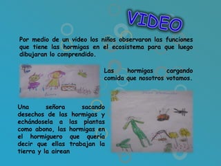 Por medio de un video los niños observaron las funciones
que tiene las hormigas en el ecosistema para que luego
dibujaran lo comprendido.

                           Las    hormigas     cargando
                           comida que nosotros votamos.



Una       señora    sacando
desechos de las hormigas y
echándosela a las plantas
como abono, las hormigas en
el hormiguero que quería
decir que ellas trabajan la
tierra y la airean
 