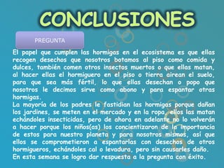 PREGUNTA

El papel que cumplen las hormigas en el ecosistema es que ellas
recogen desechos que nosotros botamos al piso como comida y
dulces, también comen otros insectos muertos o que ellas matan,
al hacer ellas el hormiguero en el piso o tierra airean el suelo,
para que sea más fértil, lo que ellas desechan o popo que
nosotros le decimos sirve como abono y para espantar otras
hormigas.
La mayoría de los padres le fastidian las hormigas porque dañan
los jardines, se meten en el mercado y en la ropa, ellos las matan
echándoles insecticidas, pero de ahora en adelante no lo volverán
a hacer porque los niños(as) los concientizaron de la importancia
de estos para nuestro planeta y para nosotros mismos, así que
ellos se comprometieron a espantarlas con desechos de otros
hormigueros, echándoles cal o levadura, pero sin causarles daño.
En esta semana se logro dar respuesta a la pregunta con éxito.
 