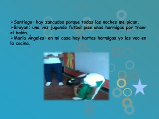 Santiago: hay zancudos porque todas las noches me pican.
Brayan: una vez jugando futbol pise unas hormigas por traer
el balón.
María Ángeles: en mi casa hay hartas hormigas yo las veo en
la cocina.
 