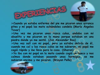 Cuando yo estaba enferma del pie me picaron unas arranca
pites y mi papá las mato echándoles candela (María Ángeles
Tovar)
Una vez me picaron unas rasca culas, andaba con mi
abuelito y me picaron en la mano porque estaban en una
piedra donde yo me senté. (Jon Alexander Roa)
Una vez salí con mi papá, pero yo estaba detrás de él,
cuando me caí y las rasca culas se me subieron, mi papá me
cogió rápido y me llevo para la casa. (Sharon)
Yo iba con mi papá en la moto cuando cogió un hueco y nos
caímos donde estaban pasando unas hormigas, se me
subieron encima y me picaron. (Brayan Peña)
 