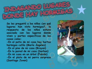 Se les preguntó a los niños ¿en qué
lugares han visto hormigas?, la
respuesta de los niños estuvo
asociada con los lugares donde
viven y partes especificas de las
casas como:
-En el patio de mi casa hay hartas
hormigas cafés (María Ángeles)
-En el piso de mi casa (Brayan)
-En la pared de mi casa (Sarhon)
-En mi casa en un árbol (Fabián)
-En el plato de mi perro sorpresa
(Santiago Joven)
 