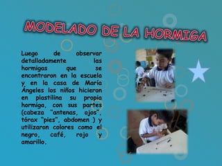 Luego      de      observar
detalladamente           las
hormigas        que       se
encontraron en la escuela
y en la casa de María
Ángeles los niños hicieron
en plastilina su propia
hormiga, con sus partes
(cabeza “antenas, ojos”,
tórax “pies”, abdomen ) y
utilizaron colores como el
negro,    café,     rojo   y
amarillo.
 